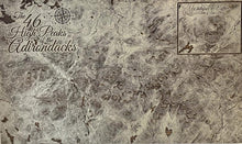 Load image into Gallery viewer, 46ERS