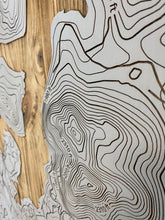 Load image into Gallery viewer, LAKE PLACID