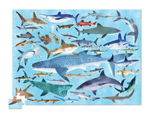 Load image into Gallery viewer, PUZZLE- 36 SHARKS 100PCS